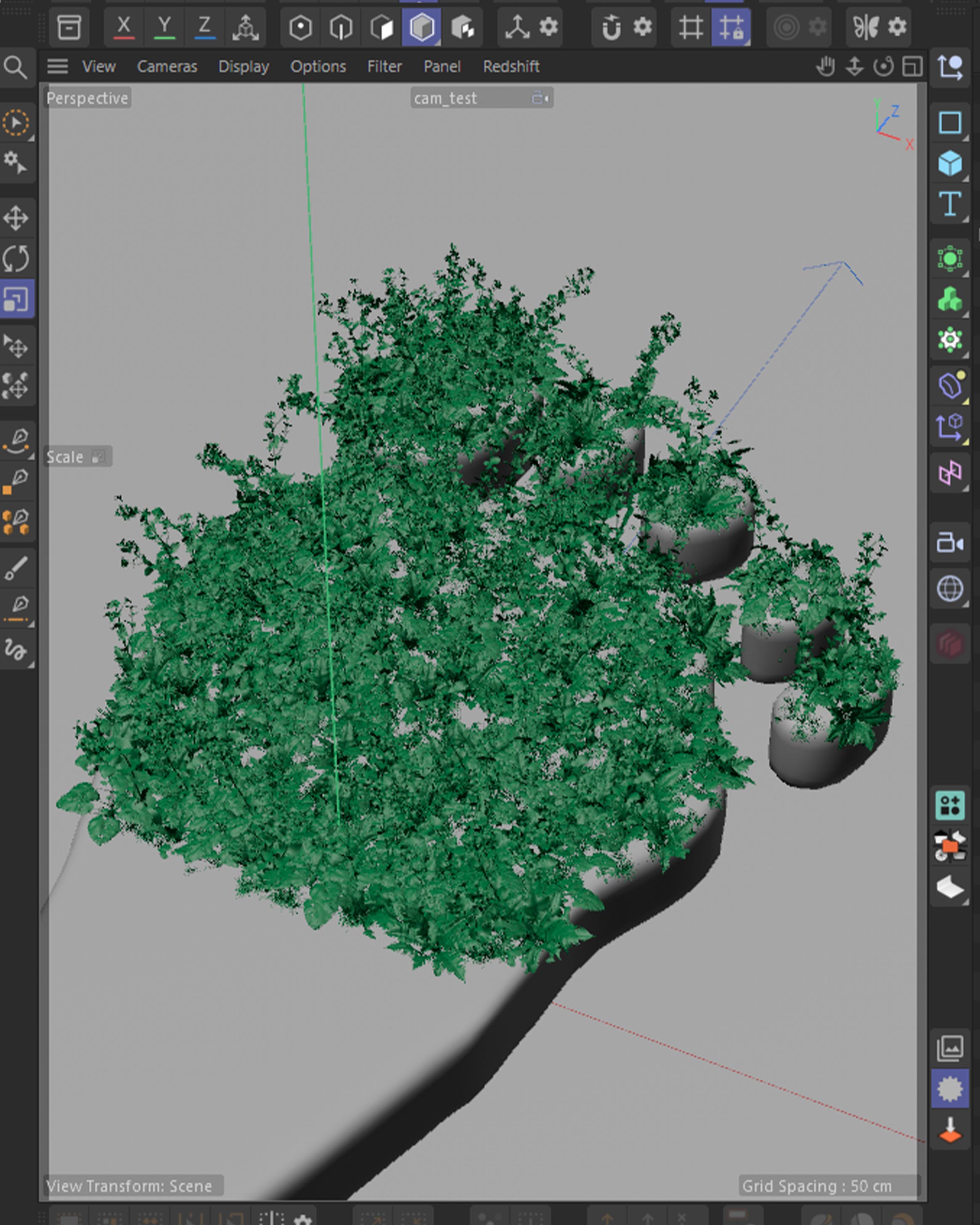 Cinema 4D viewport, dense foliage scatter growing over the footprint geometry